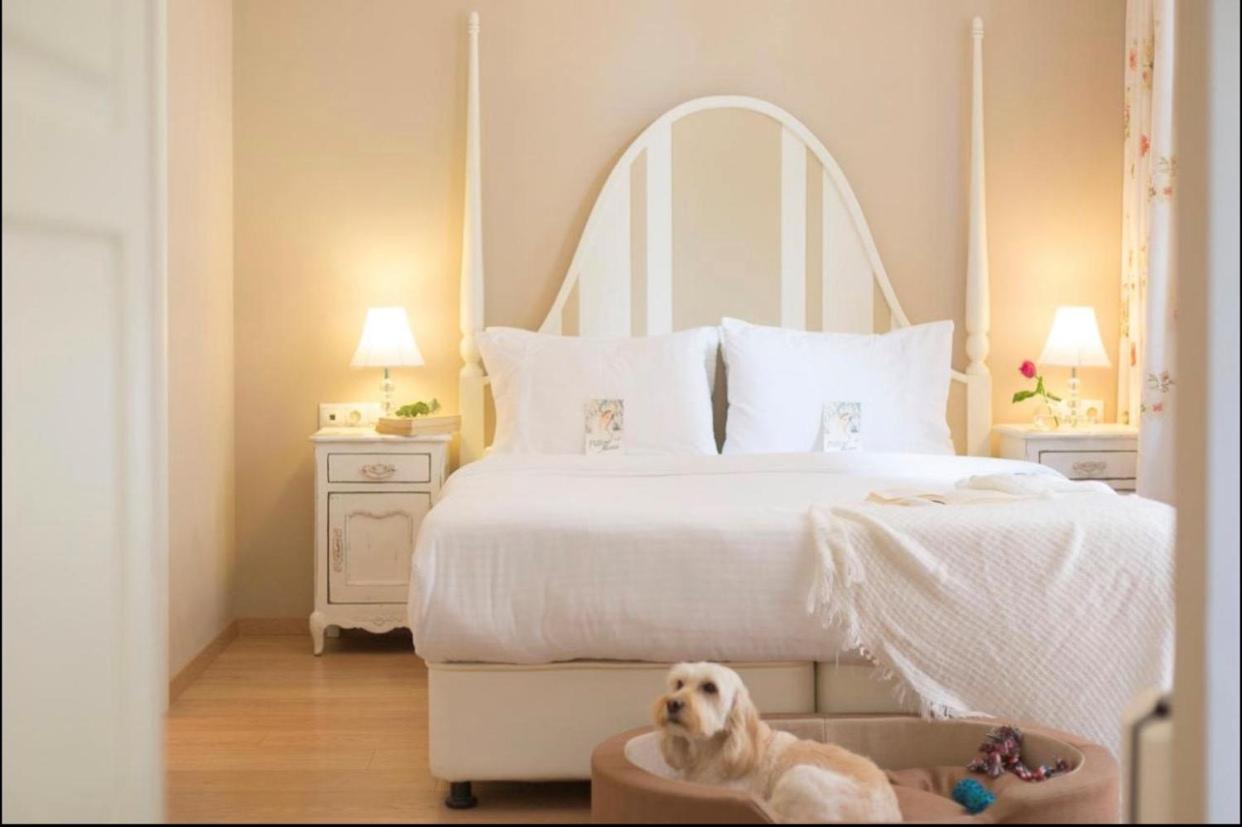 Apartment Zagora Open *